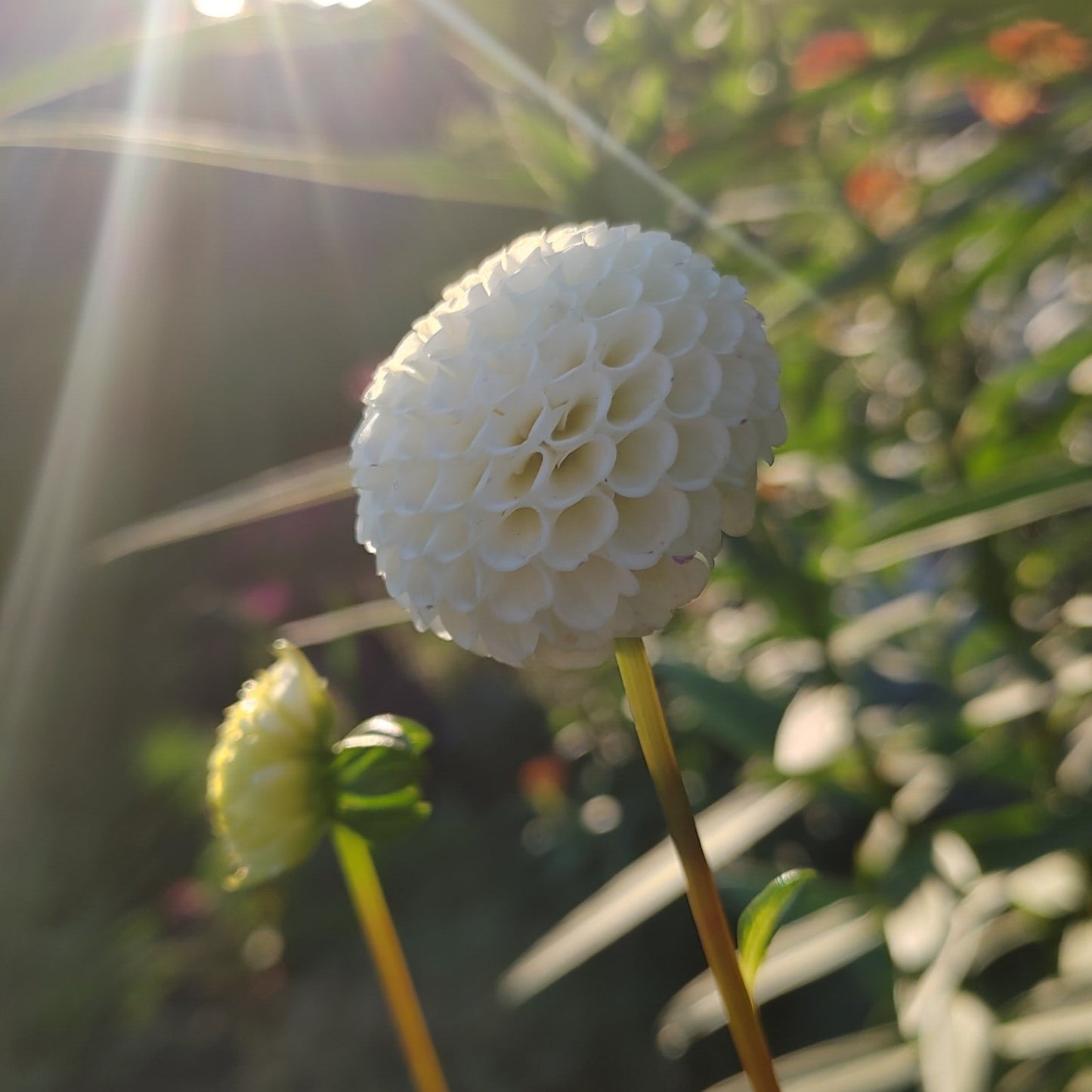 Small World