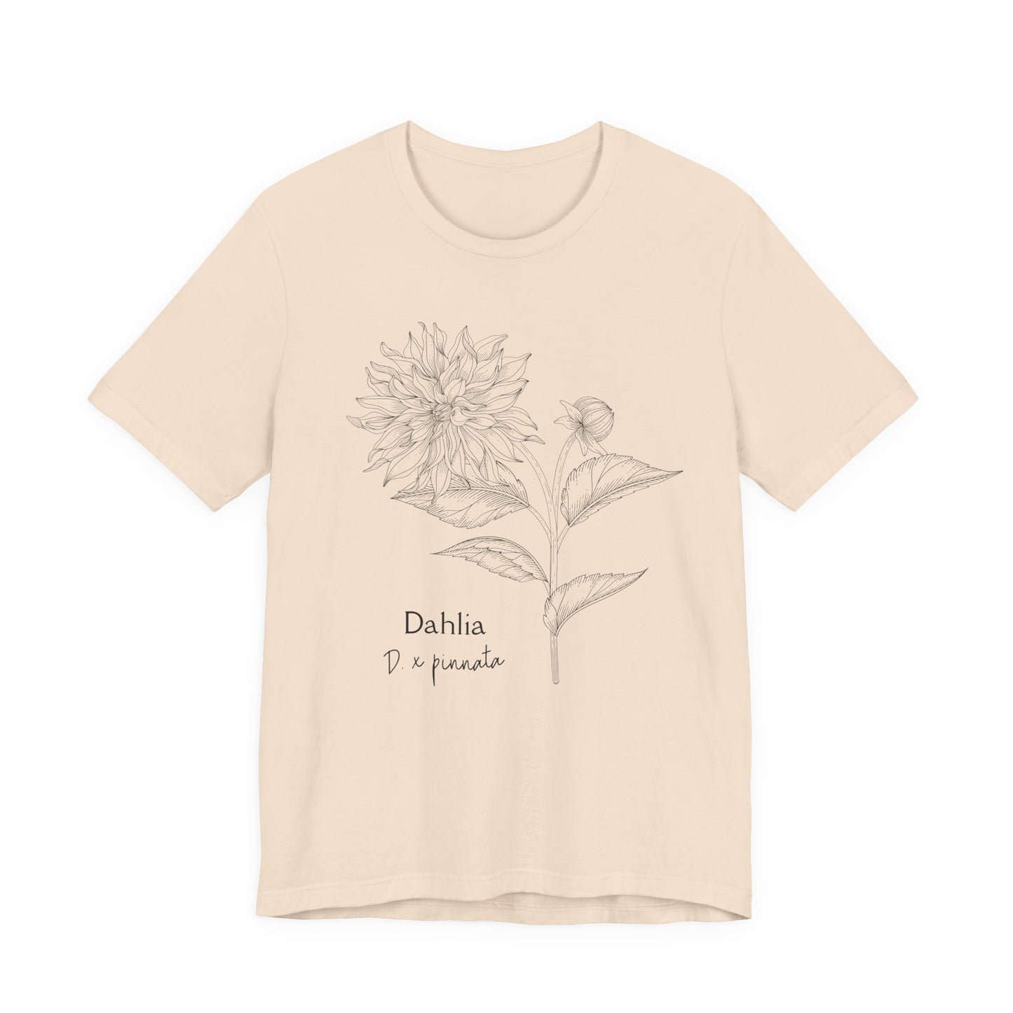 Dahlia Botanical Tee - Minimal Floral Sketch Shirt