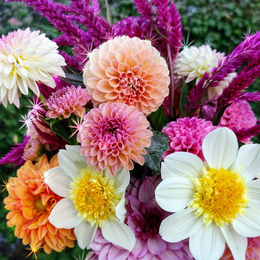 Flower Subscription - Coming Soon