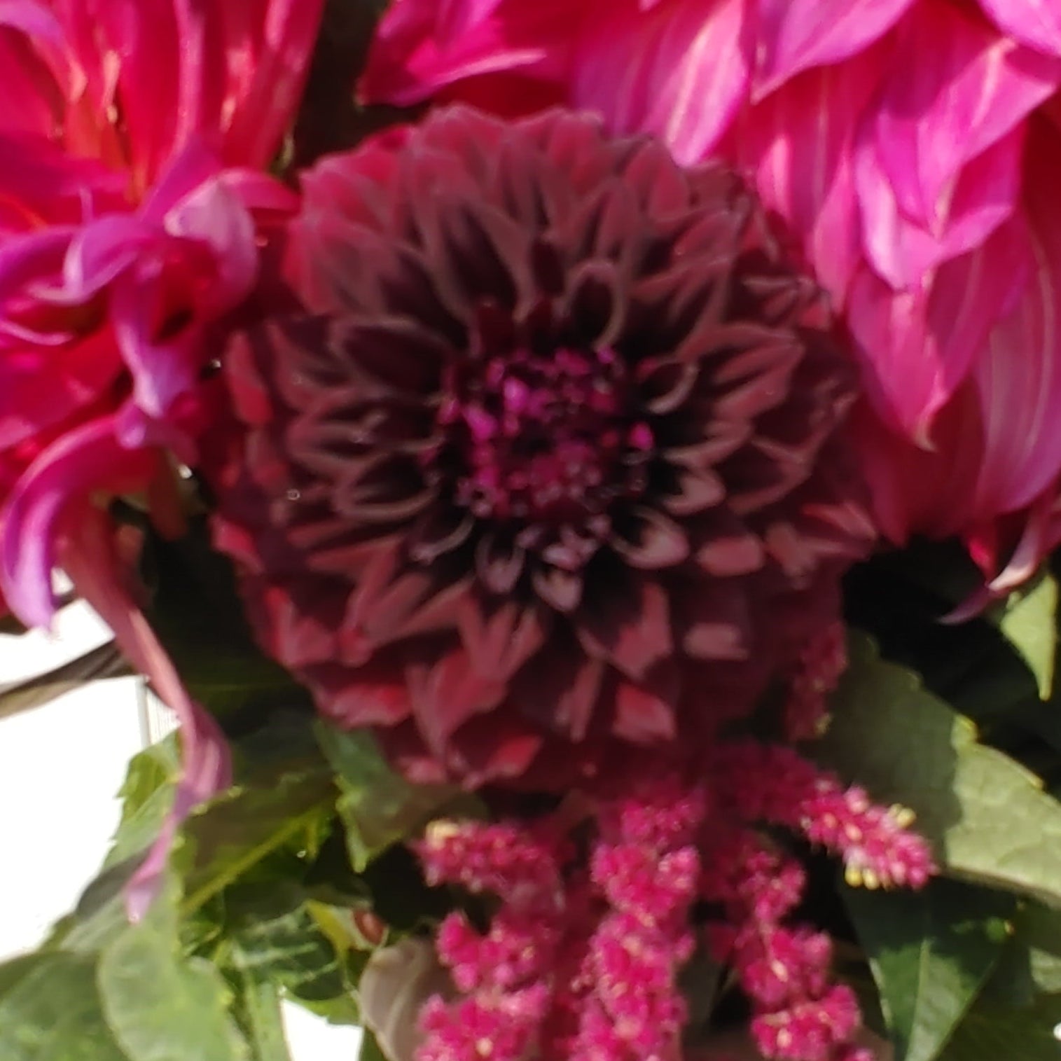 Bouquet of pink and purple flowers held by a person with a blurred background
