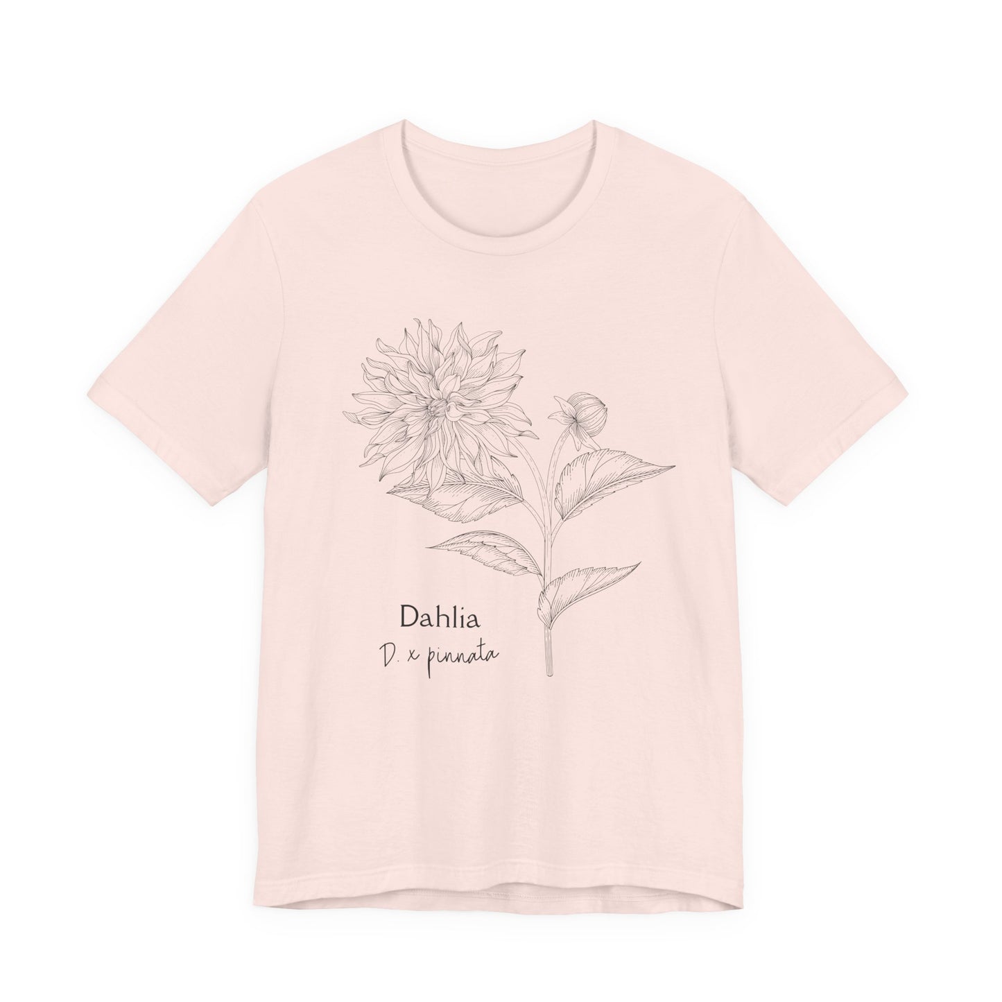 Dahlia Botanical Tee - Minimal Floral Sketch Shirt