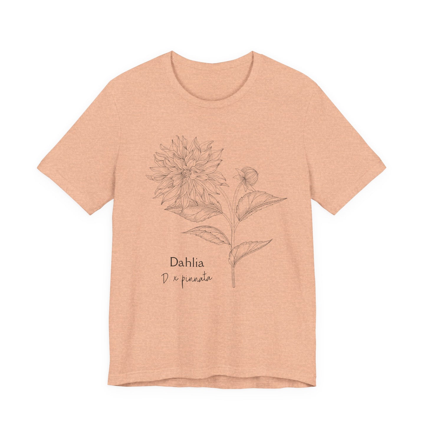 Dahlia Botanical Tee - Minimal Floral Sketch Shirt